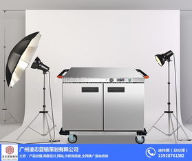 新造鎮畫冊設計服務——凌志營銷策劃的優質企業解決方案